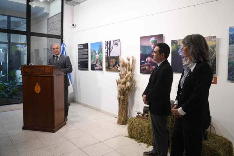La muestra “Mujer Rural Misionera” llegó al Senado de la Nación para visibilizar el rol de las mujeres del campo misionero La muestra “Mujer Rural Misionera” llegó al Senado de la Nación para visibilizar el rol de las mujeres del campo misionero imagen-18