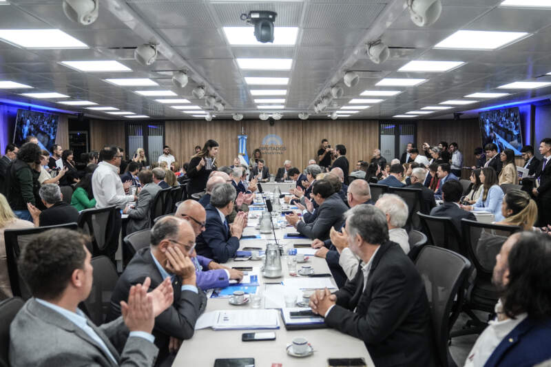 Diputados: CAME pidió "alivio fiscal" y más consumo para sostener a las Pymes imagen-9