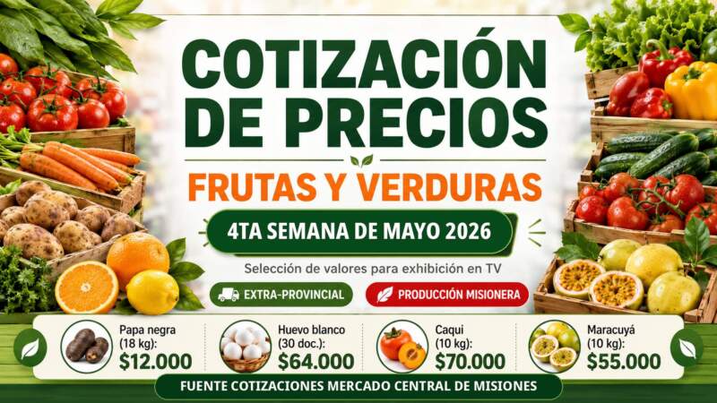 Frutas y verduras del Mercado Central de Misiones: nuevos precios mayoristas marcan diferencias entre productos de afuera y producción misionera imagen-2