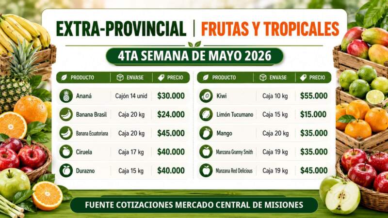 Frutas y verduras del Mercado Central de Misiones: nuevos precios mayoristas marcan diferencias entre productos de afuera y producción misionera imagen-18
