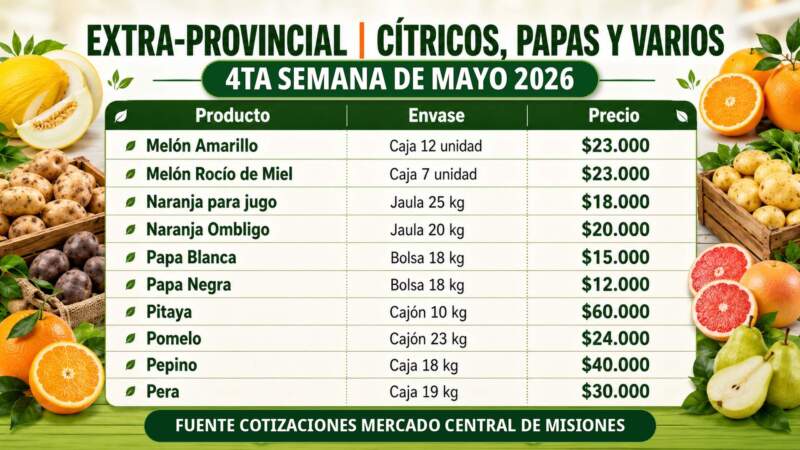 Frutas y verduras del Mercado Central de Misiones: nuevos precios mayoristas marcan diferencias entre productos de afuera y producción misionera imagen-12