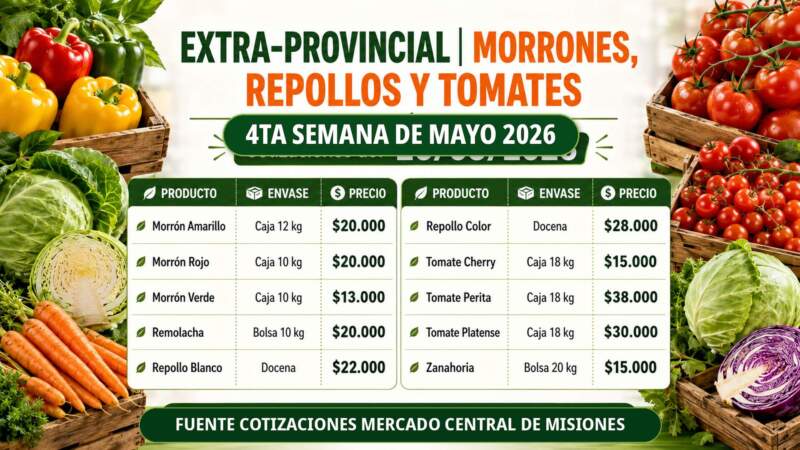 Frutas y verduras del Mercado Central de Misiones: nuevos precios mayoristas marcan diferencias entre productos de afuera y producción misionera imagen-14