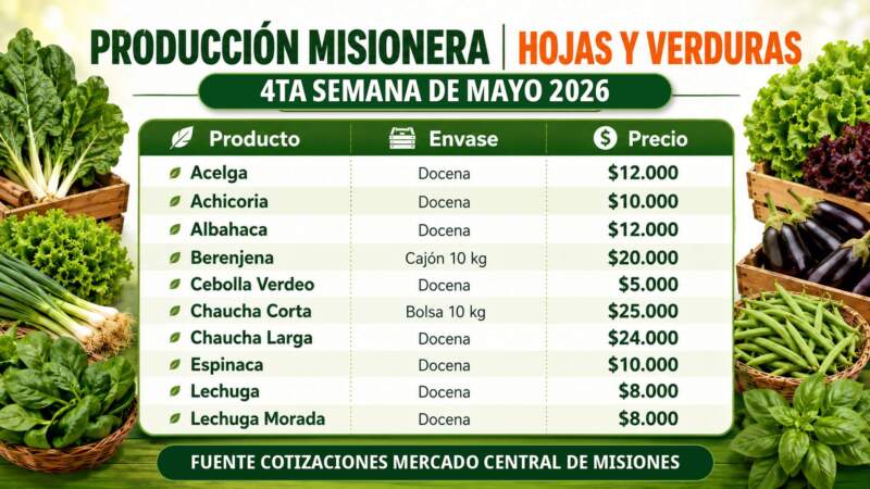Frutas y verduras del Mercado Central de Misiones: nuevos precios mayoristas marcan diferencias entre productos de afuera y producción misionera imagen-8