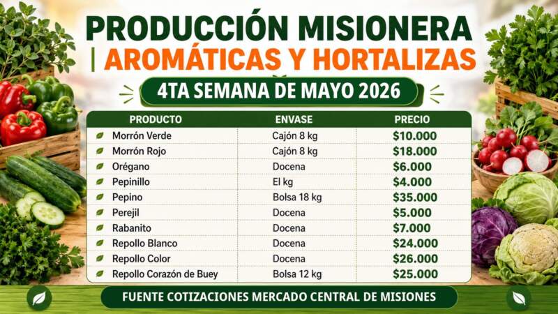 Frutas y verduras del Mercado Central de Misiones: nuevos precios mayoristas marcan diferencias entre productos de afuera y producción misionera imagen-10