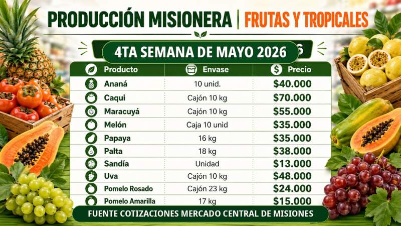 Frutas y verduras del Mercado Central de Misiones: nuevos precios mayoristas marcan diferencias entre productos de afuera y producción misionera imagen-4