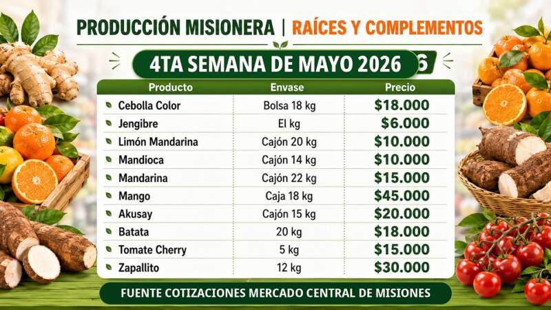 Frutas y verduras del Mercado Central de Misiones: nuevos precios mayoristas marcan diferencias entre productos de afuera y producción misionera imagen-6