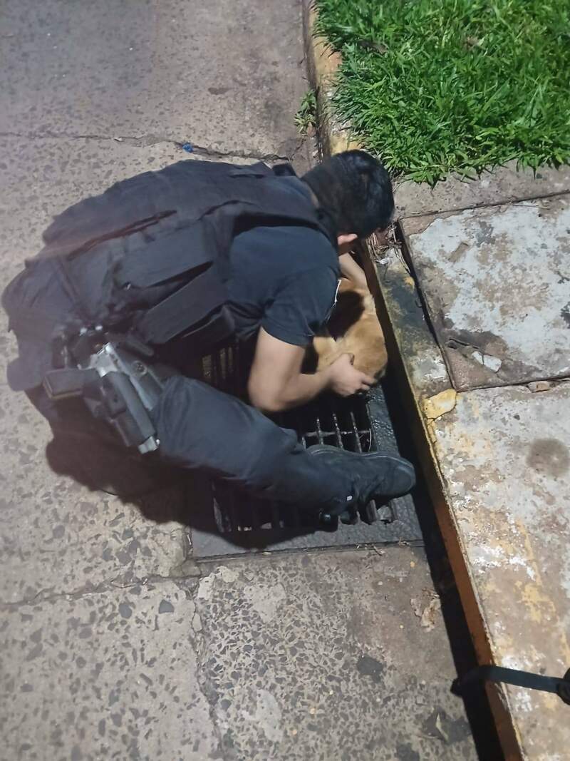 Perrito quedó atrapado en una boca de tormenta y fue rescatado por la Policía imagen-2