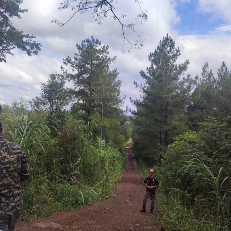 Colonos solicitaron presencia policial tras el presunto avistamiento de un yaguareté en Almafuerte imagen-2