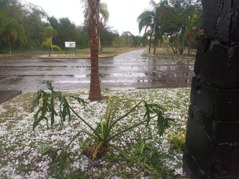 Granizada y fuertes vientos en el Parque Moconá: no se registraron personas lesionadas ni daños imagen-12
