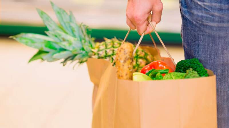 Activa Evolución: Cómo armar una dieta económica y por qué el Congreso de Nutrición marcó un hito en Misiones imagen-14