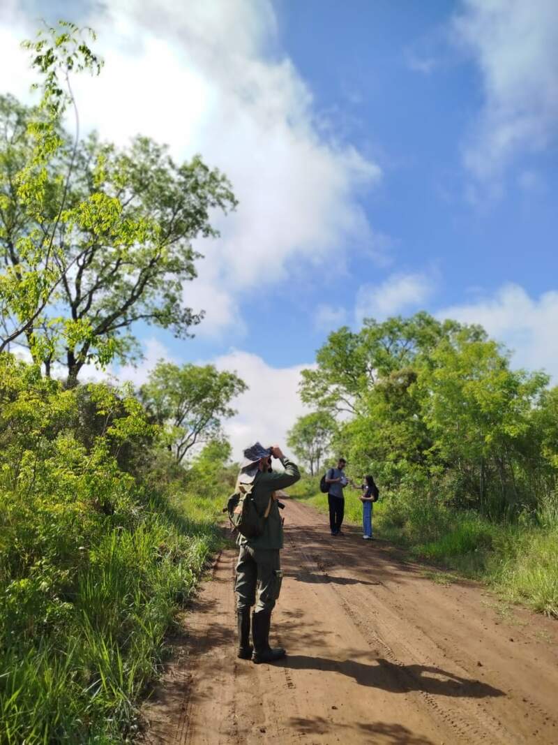 Misiones, entre las líderes del avistaje: se lanza una nueva edición del evento mundial de aves imagen-4