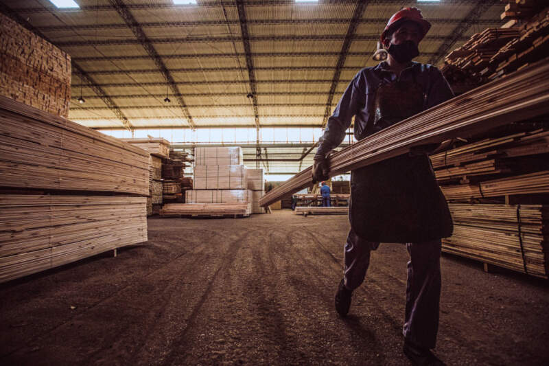 Agro articula con Cancillería y sectores productivos para fortalecer exportaciones misioneras imagen-2