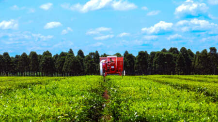 Agro articula con Cancillería y sectores productivos para fortalecer exportaciones misioneras imagen-10