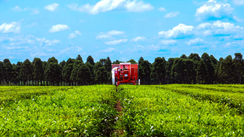 Agro articula con Cancillería y sectores productivos para fortalecer exportaciones misioneras imagen-14