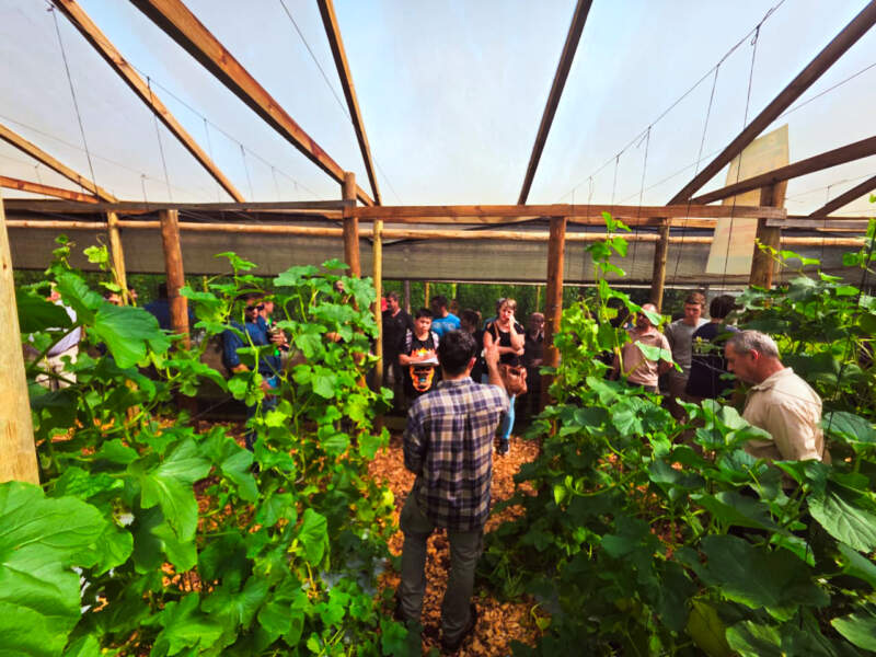 Misiones apuesta a la producción de sandía y melón contra estación para mejorar la rentabilidad imagen-4