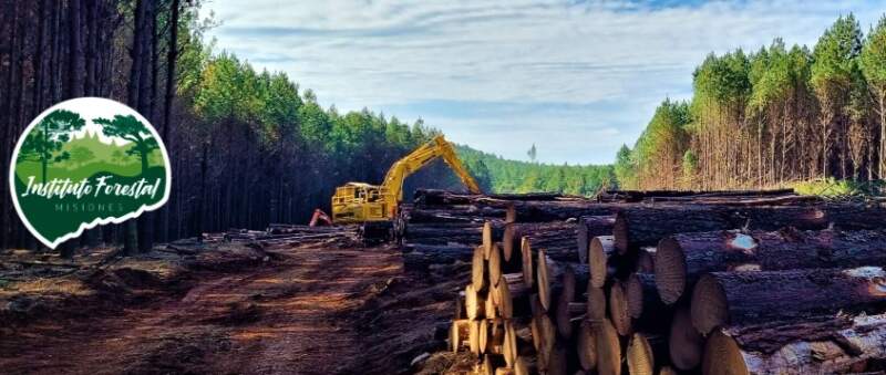 El InFoPro mantiene los precios de la madera y derivados hasta nueva reunión de Directorio para dar previsibilidad al sector y evitar mayores cargas imagen-13
