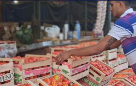 Con los precios del Mercado Central, las familias misioneras hacen rendir sus pesos imagen-11