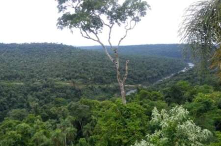 Misiones refuerza su política de conservación con nuevas reservas privadas imagen-23