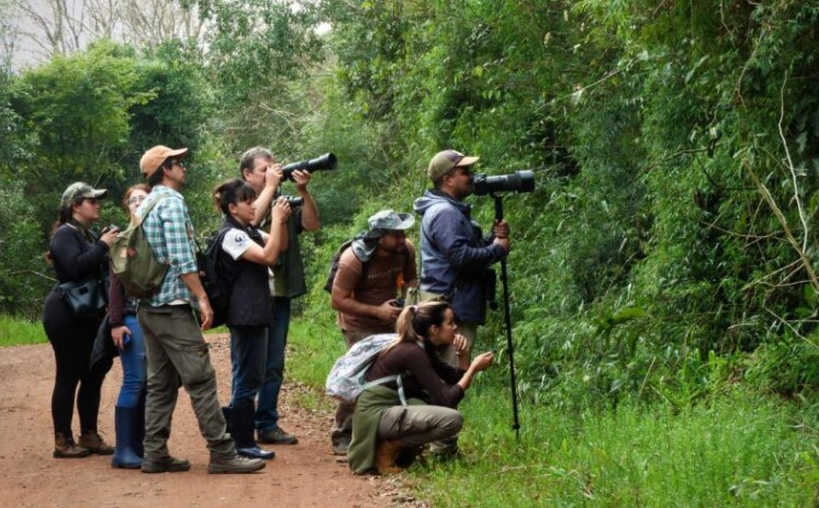 Misiones se suma al Gran Día de Observación de Aves 2026 imagen-13