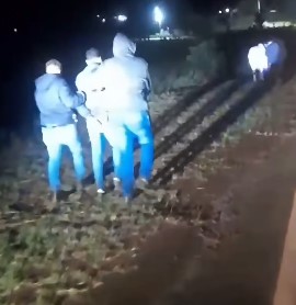 La Policía atrapó de madrugada a un cuatrero mientras arreaba ganado robado en Almafuerte imagen-11
