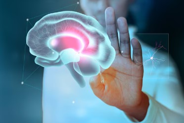 Punto de Vista: cuando el cerebro pide atención antes de que el cuerpo pase factura imagen-4