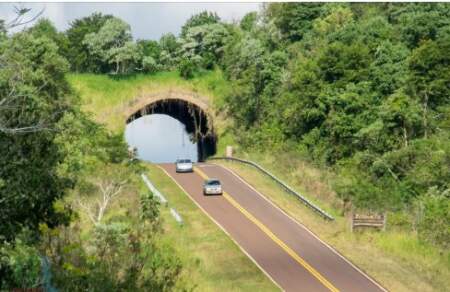 La Legislatura reafirmó su compromiso con la preservación ambiental y sancionó la ley que designa con el nombre de "Yolanda Ortiz" al ecoducto de la Ruta 101 imagen-11