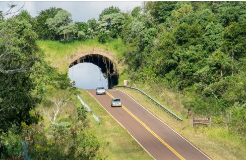 La Legislatura reafirmó su compromiso con la preservación ambiental y sancionó la ley que designa con el nombre de "Yolanda Ortiz" al ecoducto de la Ruta 101 imagen-12