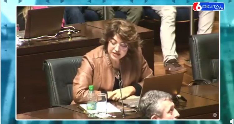 Diputados sancionan la ley que instituye el Día de la Mujer Rural Misionera imagen-2