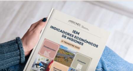 Indicadores Económicos: Misiones cerró 2025 con caídas en consumo y transporte, pero con repunte en motos y combustibles imagen-40