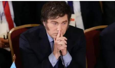 "Milei podría llegar al 2027 con chances de ser reelecto", advirtió Consultor político imagen-5
