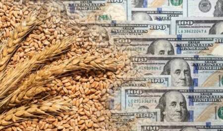 Agrodólares: el campo proyecta un ingreso de más de u$s36.000 millones en 2026 por exportaciones imagen-13