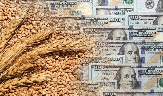 Agrodólares: el campo proyecta un ingreso de más de u$s36.000 millones en 2026 por exportaciones imagen-14