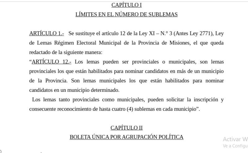 Boleta con foto y voto atado: el elector elegirá sólo uno de los cuatro sublemas de cada partido imagen-2