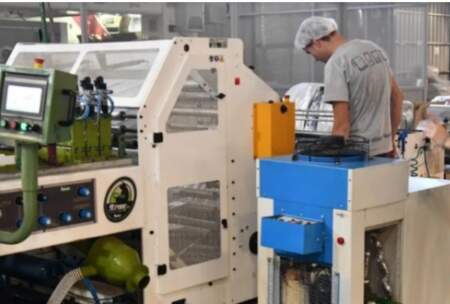 Crisis: la mayoría de las industrias misioneras trabajan con descubiertos bancarios y préstamos a tasas elevadas para sostener el empleo imagen-11