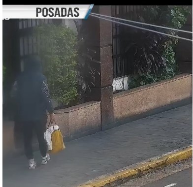 Gracias al monitoreo del 911, detuvieron a un hombre que intentaba robar en un instituto privado en Posadas imagen-5