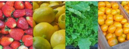 Frutas y verduras del Mercado Central de Misiones: nuevos precios mayoristas marcan diferencias entre productos de afuera y producción misionera imagen-5