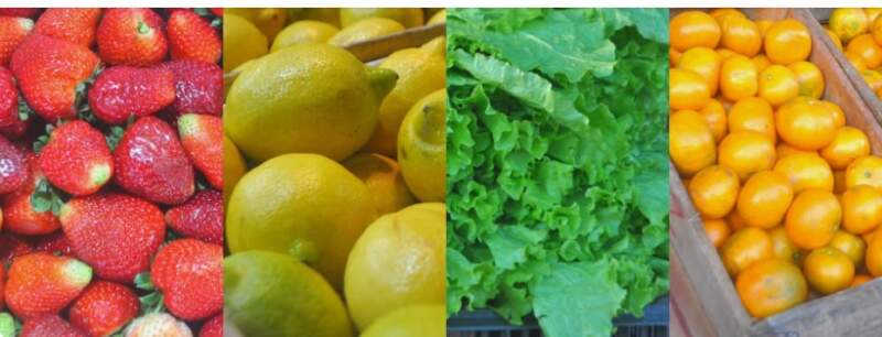 Frutas y verduras del Mercado Central de Misiones: nuevos precios mayoristas marcan diferencias entre productos de afuera y producción misionera imagen-7