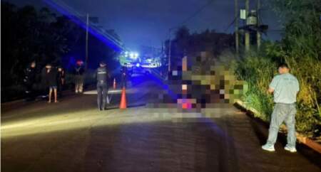 Puerto Iguazú: detuvieron a un camionero que huyó tras atropellar y matar a una motociclista Puerto Iguazú: detuvieron a un camionero que huyó tras atropellar y matar a una motociclista imagen-8