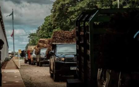 “La cosecha récord nos llena de tranquilidad, pero debemos prepararnos para el Niño”, observó el titular de Tabaco imagen-11