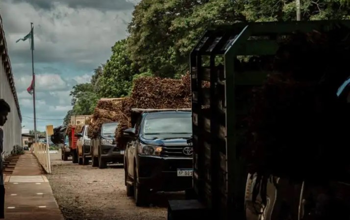 “La cosecha récord nos llena de tranquilidad, pero debemos prepararnos para el Niño”, observó el titular de Tabaco imagen-12