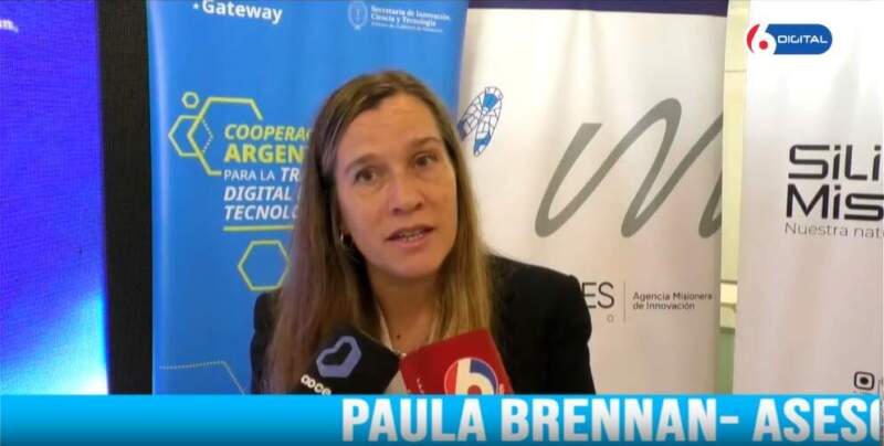 Misiones: avanza un taller sobre gobernanza de datos y transformación digital con cooperación internacional imagen-6