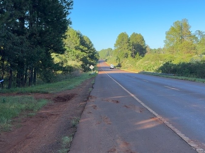 La Ruta 14 se transforma: proyectan ampliación, repavimentación y nuevas trochas en un tramo clave entre Alem y Campo Viera 3 La Ruta 14 se transforma: proyectan ampliación, repavimentación y nuevas trochas en un tramo clave entre Alem y Campo Viera imagen-2