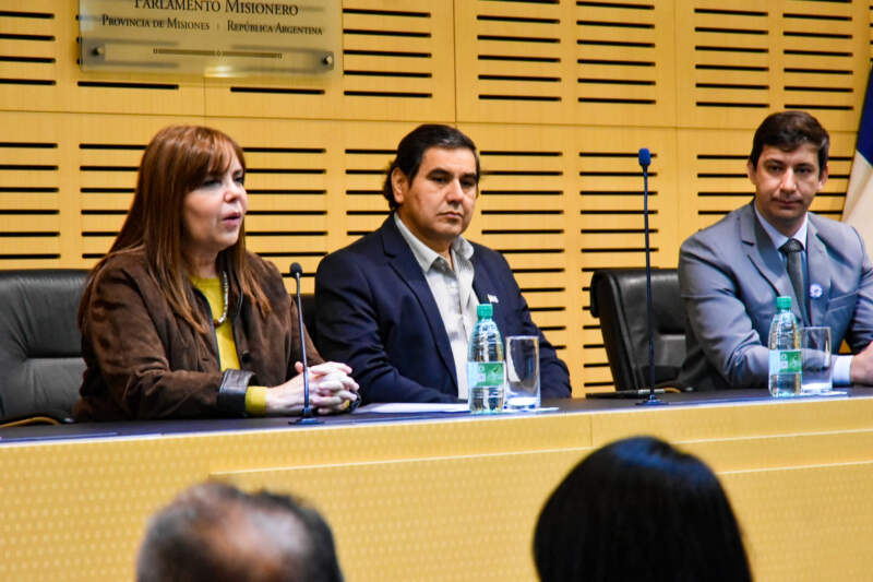 La Cámara de Representantes conmemoró el Día Internacional de la Enfermería y destacó el rol del sector imagen-4
