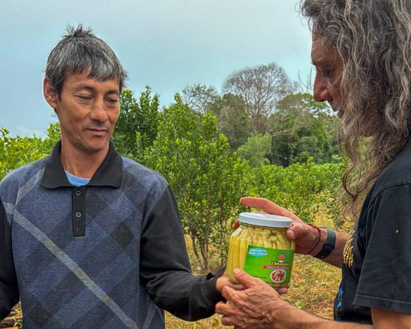 "Misiones Produce" contiene desarrollo provincial desde las chacras, producción y agregado en valor 10 "Misiones Produce" contiene desarrollo provincial desde las chacras, producción y agregado en valor imagen-9