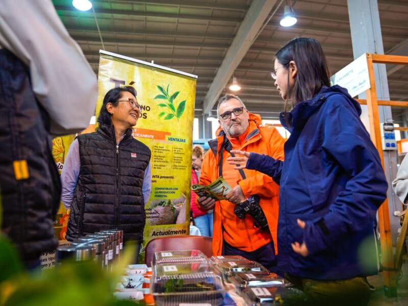 Desde este sábado, Expo Té Argentina invitará a recorrer el universo del té con degustaciones y actividades innovadoras 3 Desde este sábado, Expo Té Argentina invitará a recorrer el universo del té con degustaciones y actividades innovadoras imagen-2