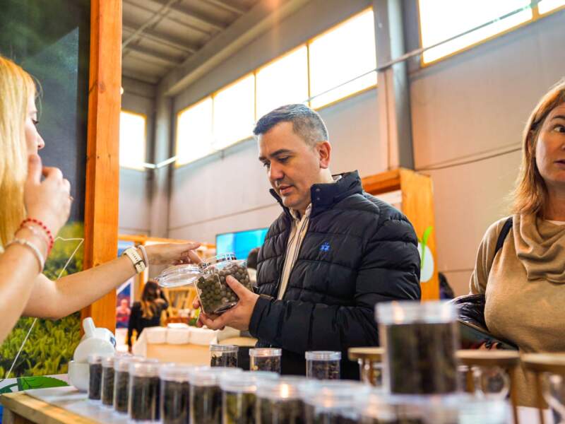 Desde este sábado, Expo Té Argentina invitará a recorrer el universo del té con degustaciones y actividades innovadoras 7 Desde este sábado, Expo Té Argentina invitará a recorrer el universo del té con degustaciones y actividades innovadoras imagen-6