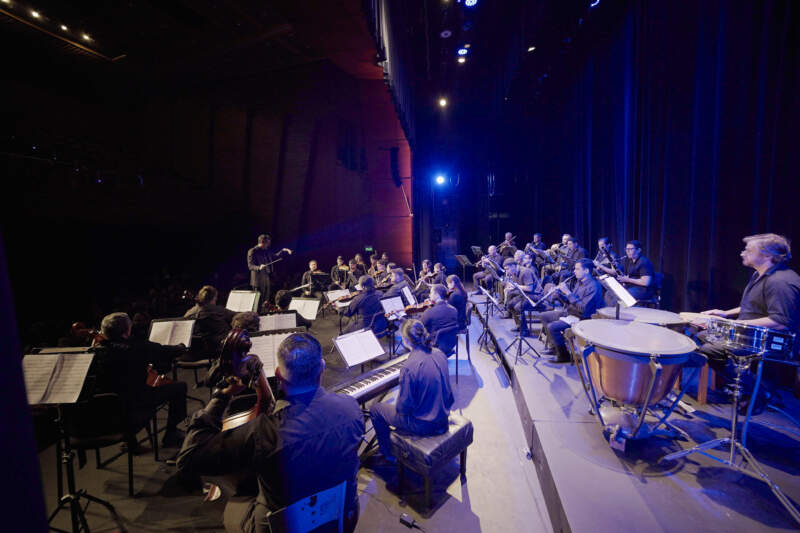 Noche francesa en el Teatro Lírico: la Orquesta del Parque interpretará obras de grandes compositores imagen-12