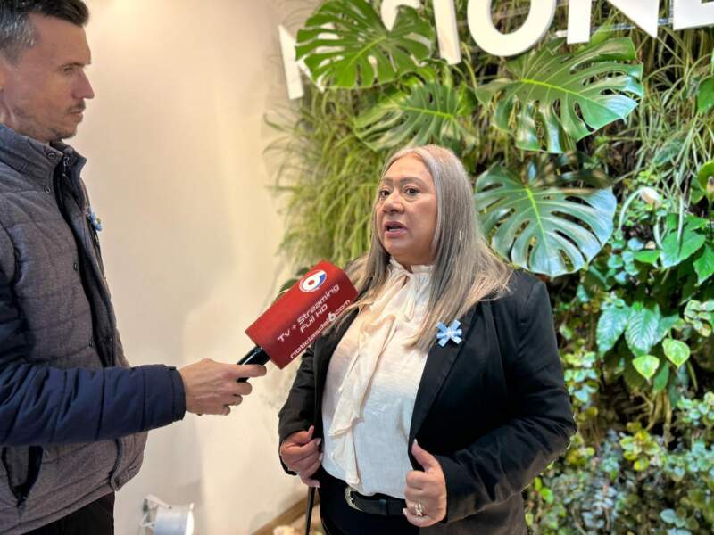 La Galería de Autor Misionero propone una muestra que reinterpreta la Regencia con sello misionero 7 La Galería de Autor Misionero propone una muestra que reinterpreta la Regencia con sello misionero imagen-6