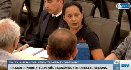 “¿Será que Hartfield camina en el rosado?”: el fuerte reclamo de una productora yerbatera por la crisis del sector imagen-4