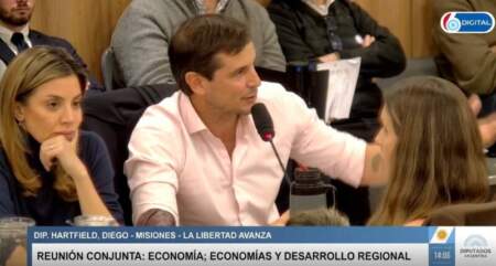 “No camino la rosada… se dice rosado”: Diego Hartfield defendió la desregulación yerbatera y apuntó contra 20 años de precio regulado imagen-17